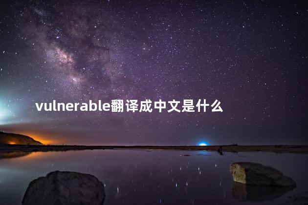 vulnerable翻译成中文是什么 vulnerable可以形容人吗